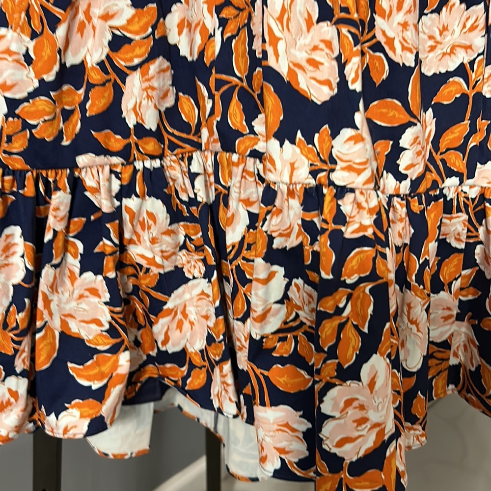 Amur - Picture 9 of 14